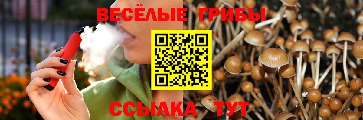 Добрянка  Галлюциногенные грибы прущие грибы  Вход с VPN 
