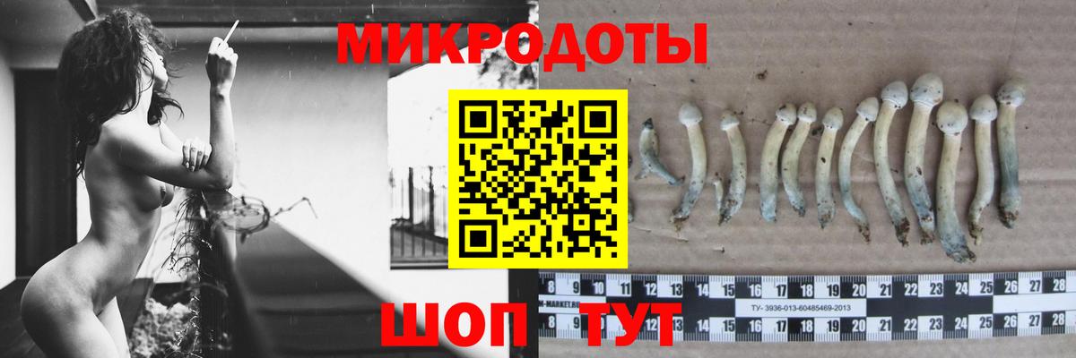 Галлюциногенные грибы Cubensis Добрянка